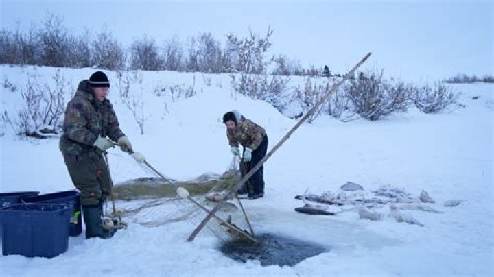 Life Below Zero's Chip Hailstone Prison, Probation, and His Family Today