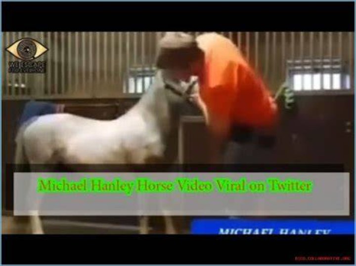 "Michael Hanley Horse Video Mr Hands Original"