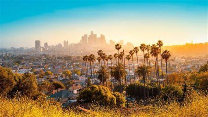 Sally Prager Obituary Los Angeles CA What